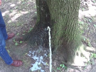Two Friend Pissing Together Outdoor (watering Another Tree)